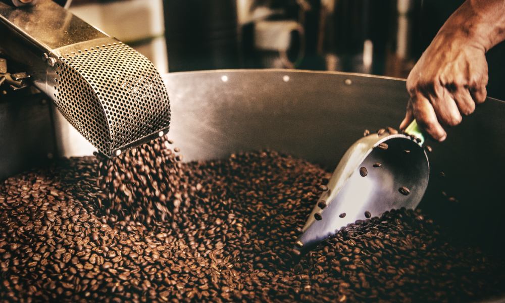 Coffee Roasting and Brewing