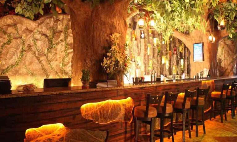 Themed Restaurants: Immersive Dining Experiences