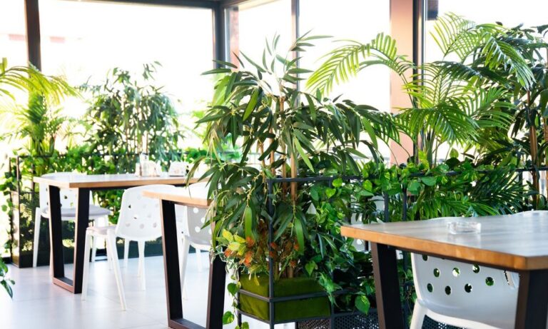 Sustainable and Eco-Friendly Restaurants: Green Dining